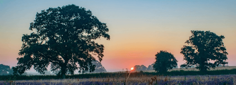 A Sanctuary Wellness Center and A Sanctuary Therapeutic Massage and Bodywork