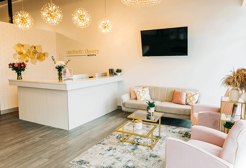 Aesthetic Theory Medspa