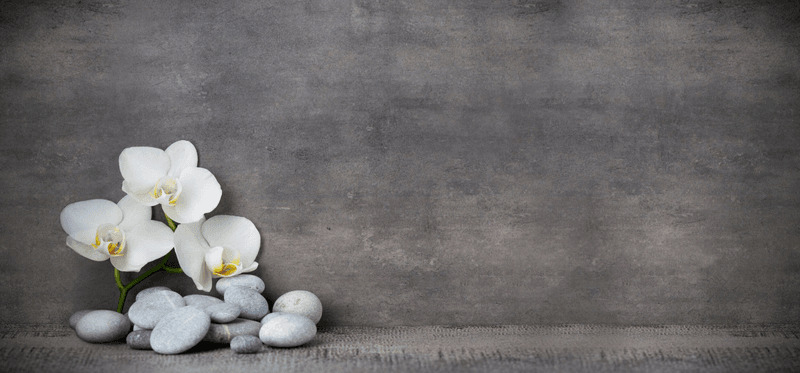 Aesthetics by Andrea