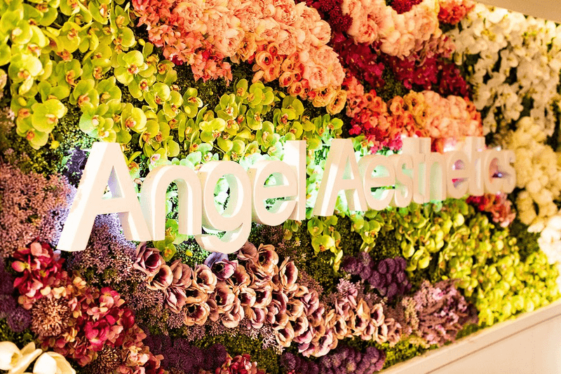 Angel Aesthetics