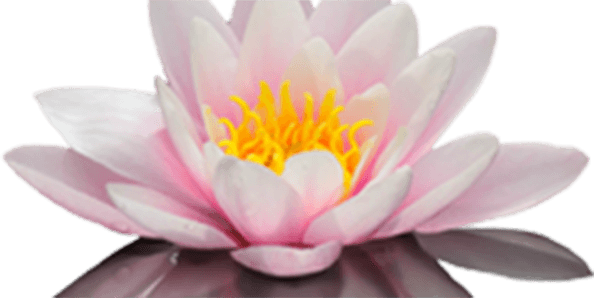 Arthur L Foley Iii Md