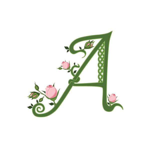 Aviva Wellness and Aesthetics