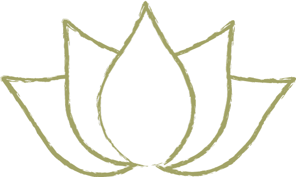 Aylmer D Evangelista Md