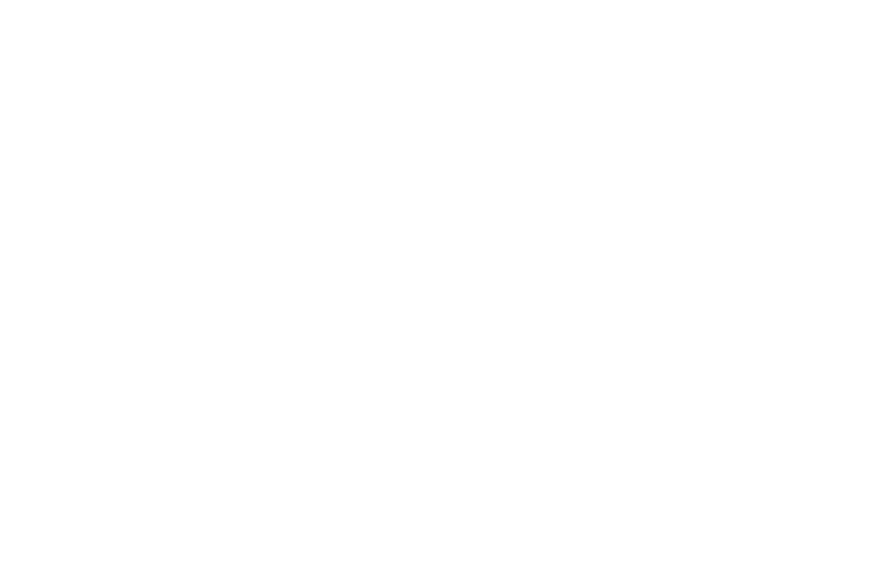 Bardane Aesthetics