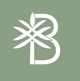 Beauty and the Beach