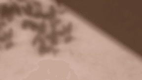 Bella Day Spa & Transform Medical Spa