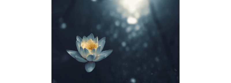 Belle Beau Medical Aesthetics