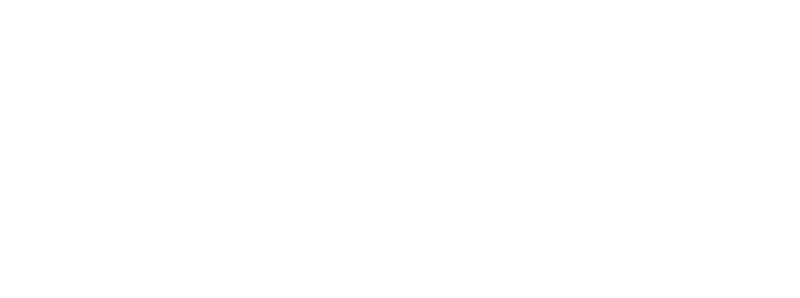 BIOVITAL MED SPA LLC