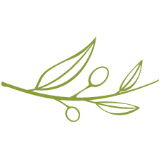 Bloom MedAesthetics: Bridget Flickinger, MD