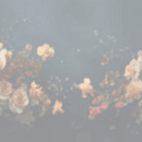 Boundless Beauty & Wellness