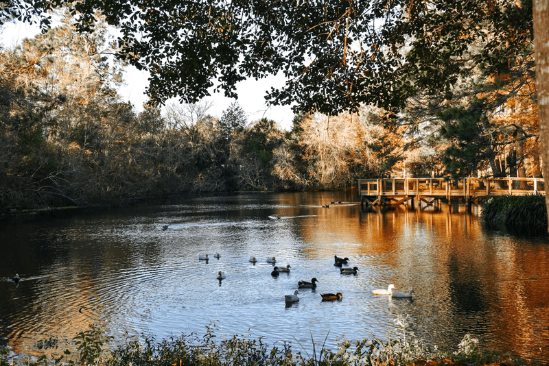 Brittany Day Dds (dn24938)