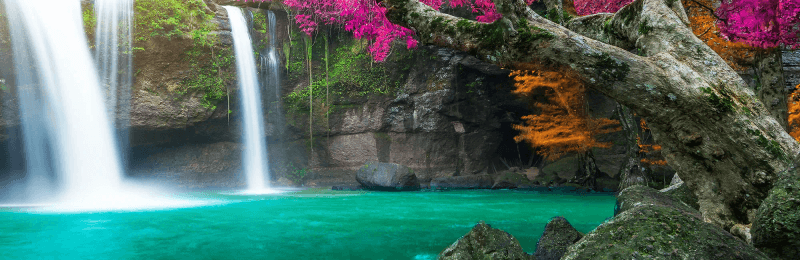 Camille Palombo R MEd LPC