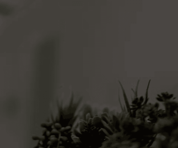 Capitis Medical & Aesthetics