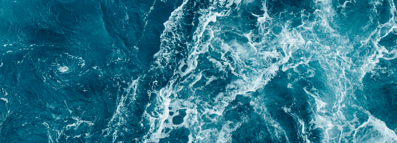 Charleston Hormone Services