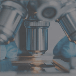 Christopher Nelson Md (me93858)