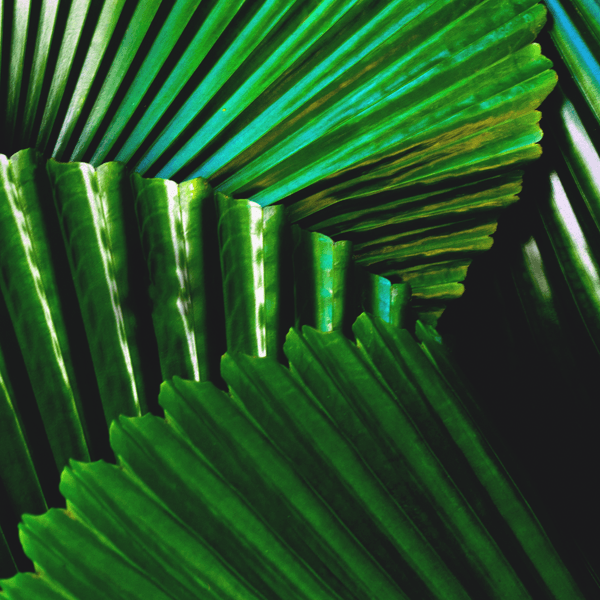 Claire Patrice Mckenzie Crnp