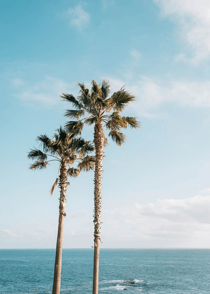 Coast Medical & Botox