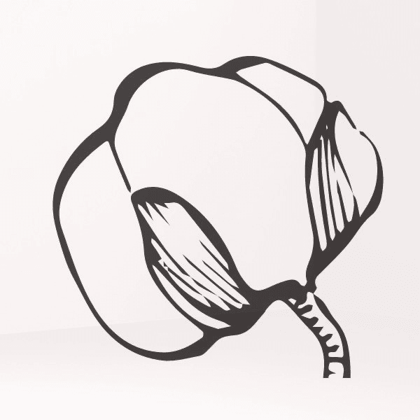 Cotton Aesthetics & Beauty