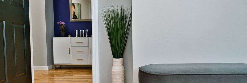 Creative Facial Aesthetics