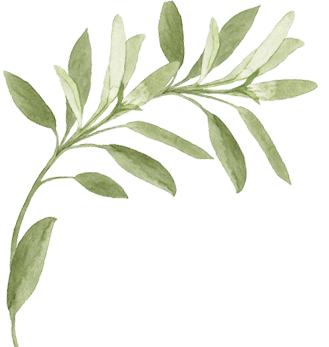 Duluth Med Spa by Aging Young Aesthetics