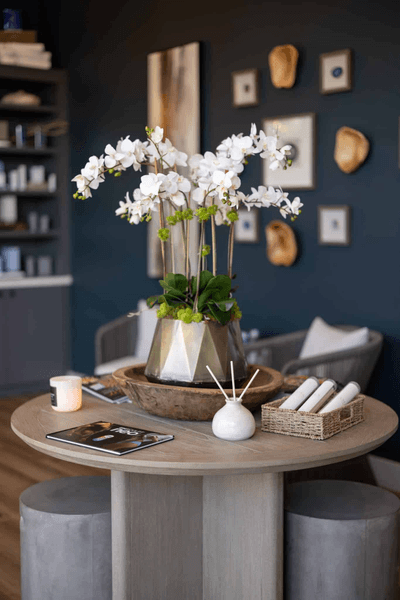 Elase Medical Spa - Town Center (formerly Amara)