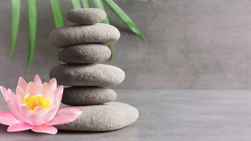 Elizabeth Anne Hayes Aprn