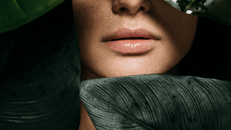 Evergreen Aesthetics