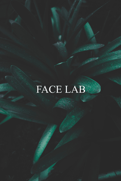 Face Lab