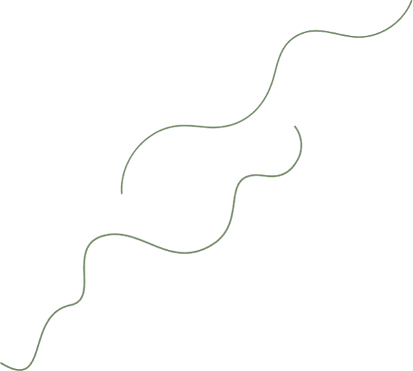 Facial Series Med Spa