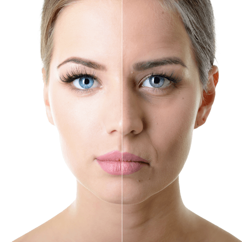 FOREVER YOUNG TWO, LLC