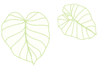 Honolulu Spa And Wellness - Hilo