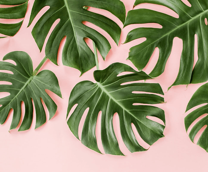 Indianapolis Aesthetics Medspa