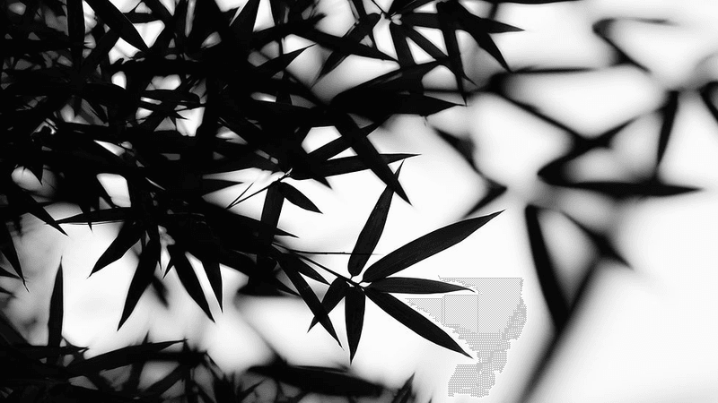 Inpire Medical Aesthetics Danny Young Md