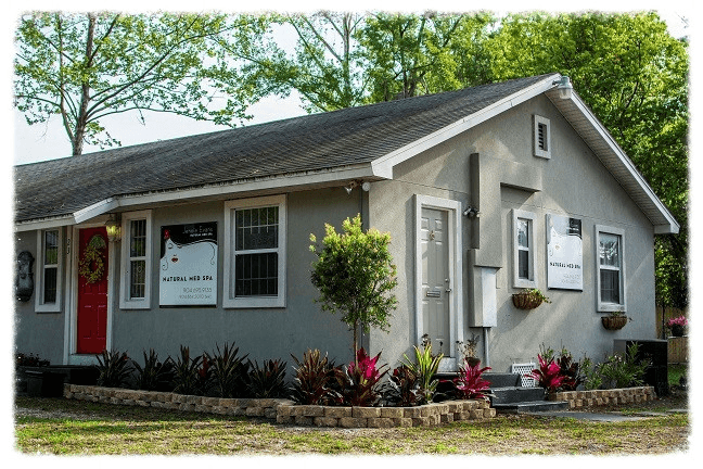 Jennie Evans Natural Med Spa