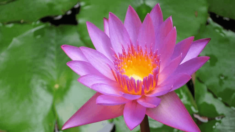 Kai - The Medical Spa