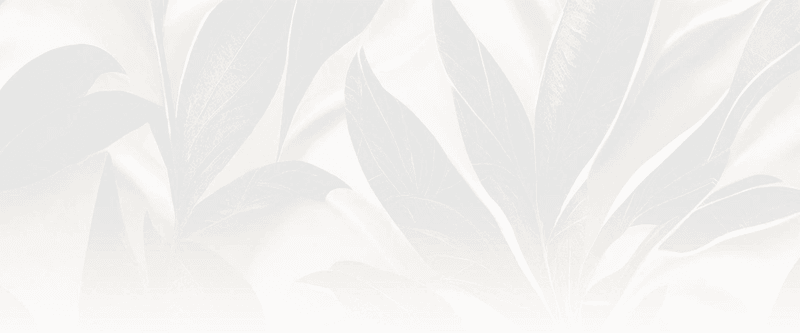 Kelly Lynn Aesthetics