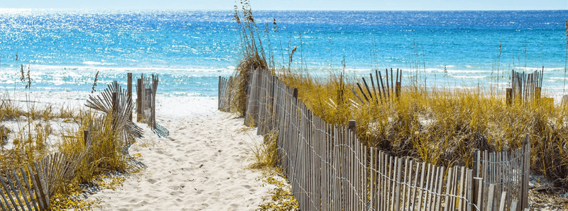 Lauren Ashley Metzger Dmd