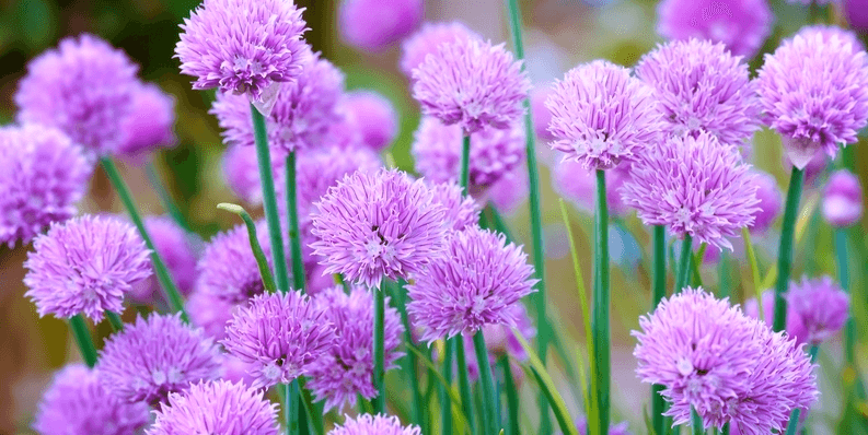 Let's Face It Skin Care