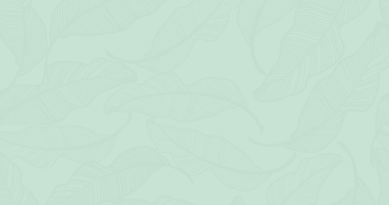 Lifted Beauty + Wellness