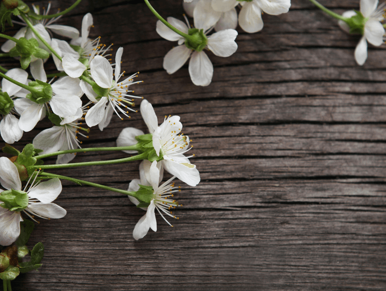 Loraine Joan Glaser-zakem Md