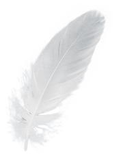 Magnolia Medical Aesthetics