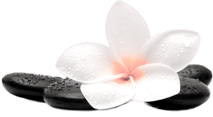 Medstella Skin Care Clinic