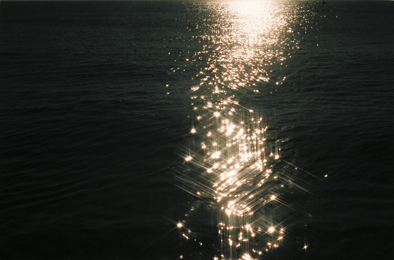 Mia E Skourtis, Md, Llc