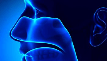 Midwest Sinus Sleep Allergy Associates