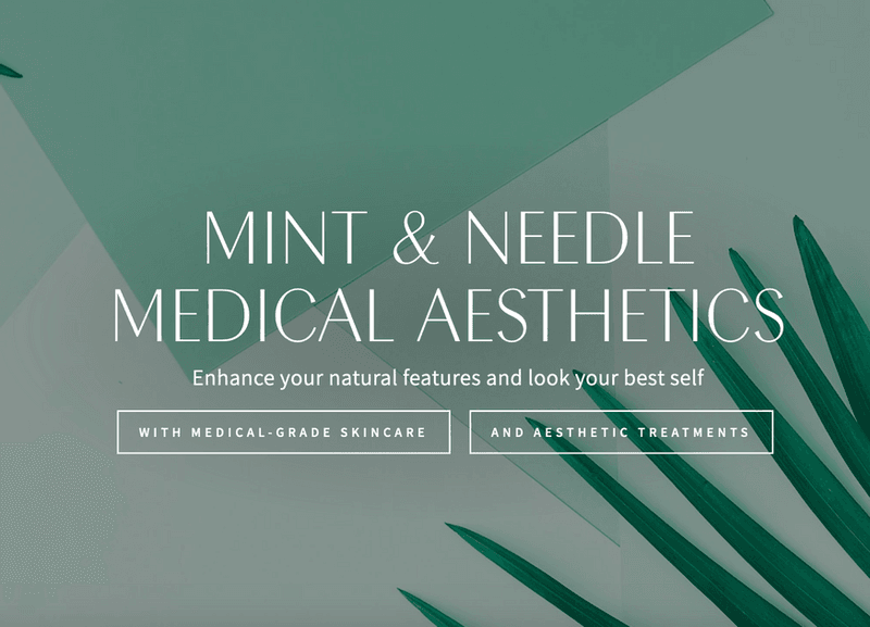 Mint And Needle Brandi Leigh Gregge Np
