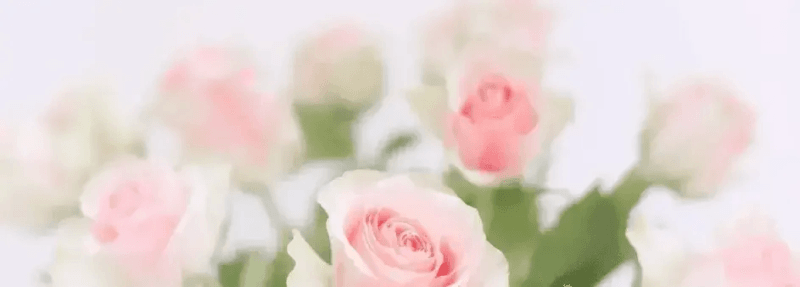 Natural Healing and Massage