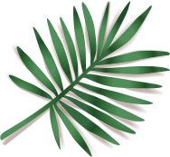 Opulent Health And Wellness