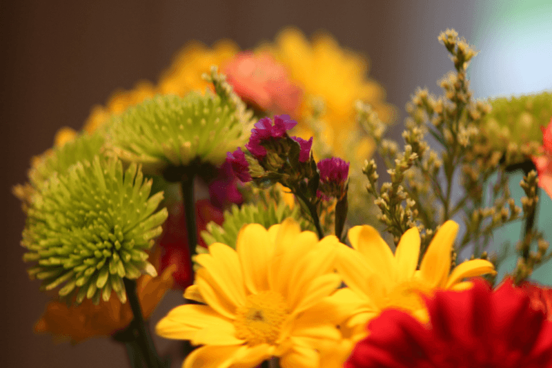 Refine & Revive Medspa