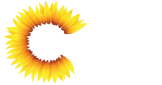 Rejuvenescence Med Spa
