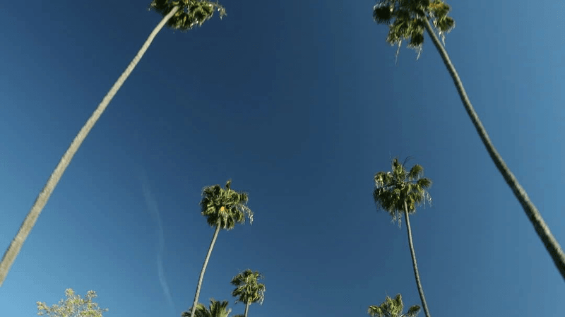 Rodeo Drive Anti Aging & Body Works